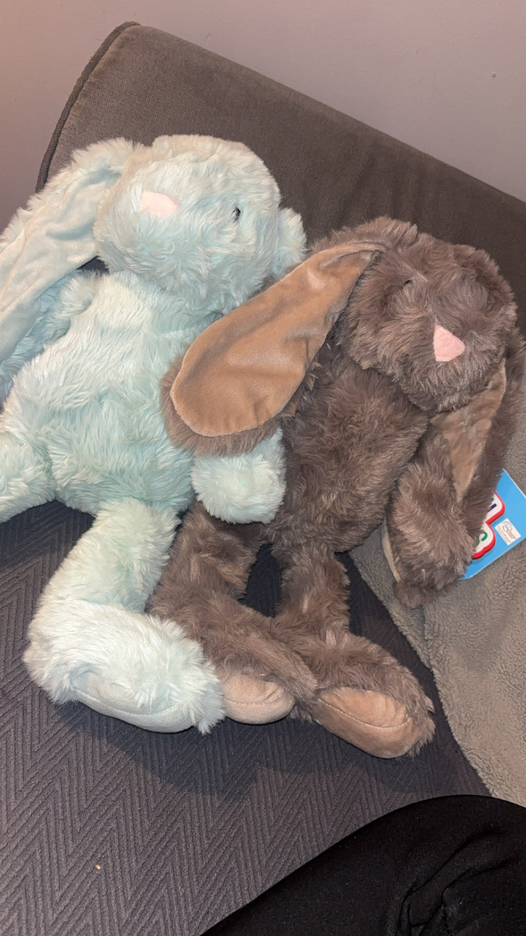 Lapin souvenir de naissance