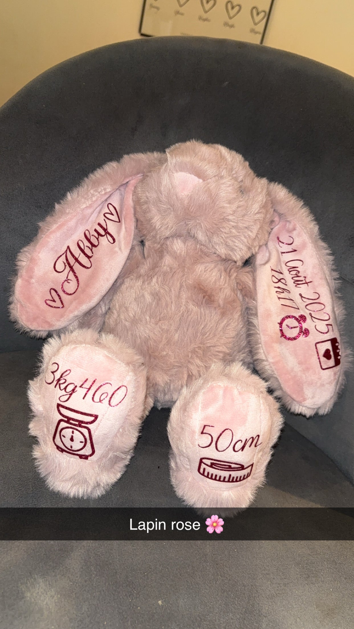 Lapin souvenir de naissance