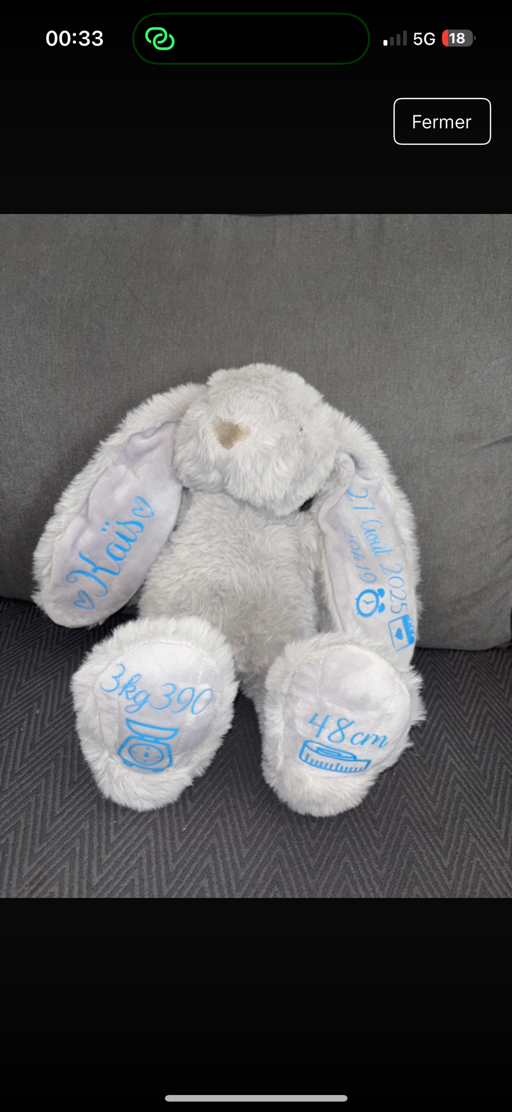 Lapin souvenir de naissance