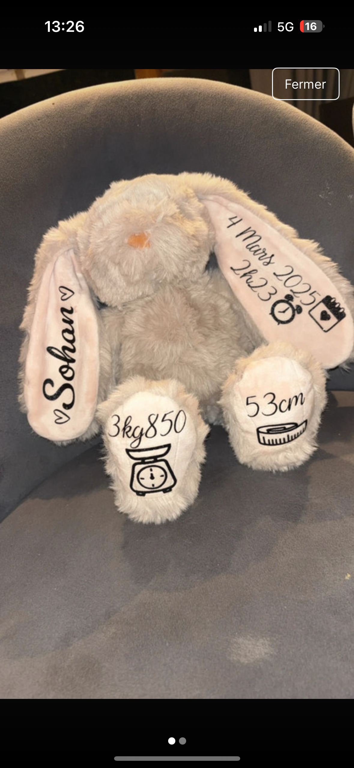 Lapin souvenir de naissance